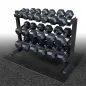 Preview: Body-Solid Kurzhantelablage GDR-363B Black Edition – mit Gummi-Kurzhanteln auf Matte