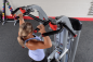 Preview: Pro Clubline Series2 gewichtsunterstützte Klimmzug und Dip Maschine S2ACD Detail 09