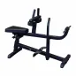 Preview: Body Solid Wadenmaschine Pro GSCR-349B Black Edition